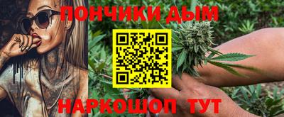мдпв Новозыбков