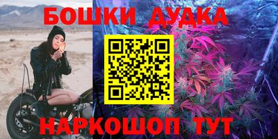 мдпв Новозыбков